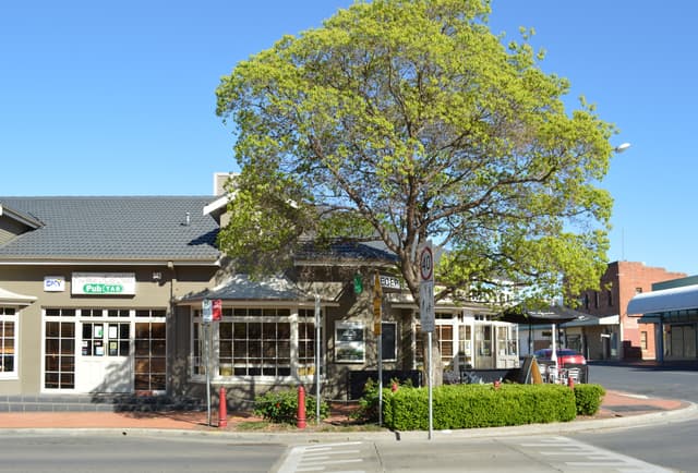 Coachman Park — the venue, not this event