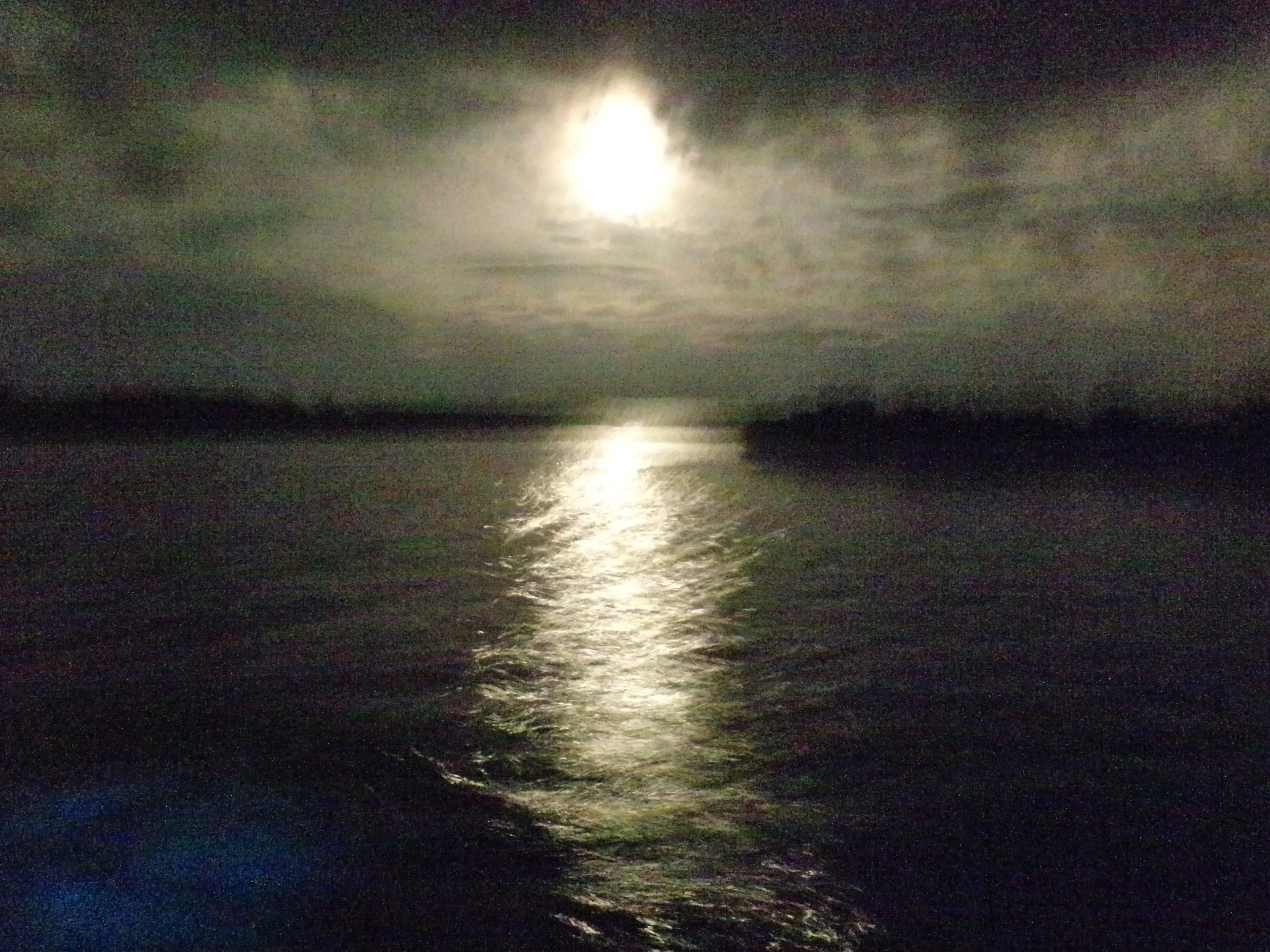 Bioluminescent lagoon — 8.2h of true dark, 21:30 to 05:40