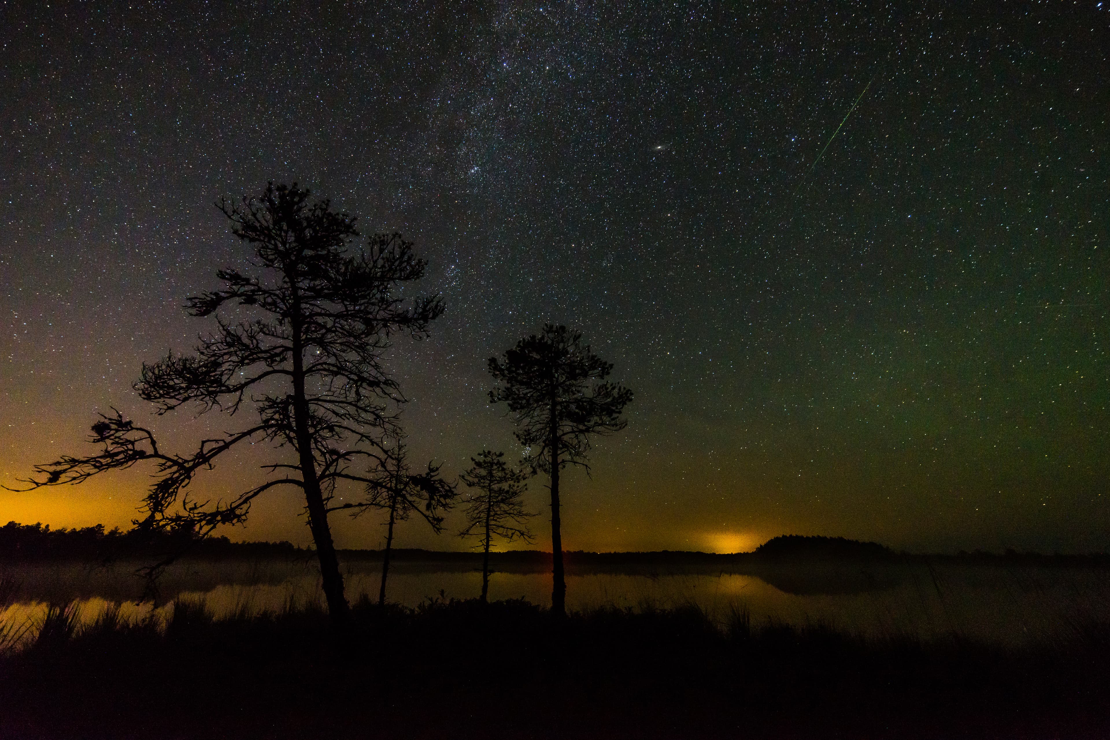 night skies — a stand-in, not this