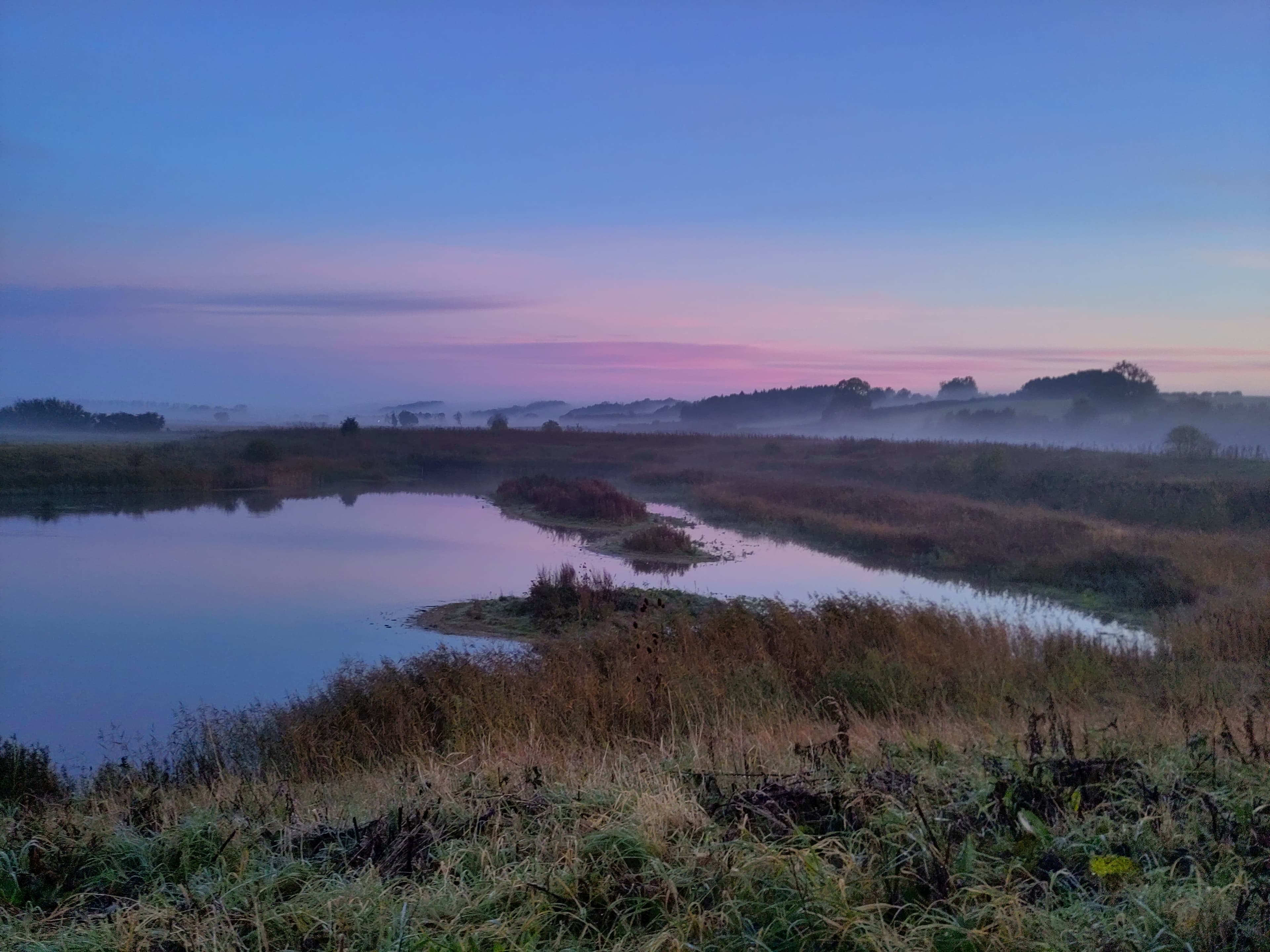guided walk — a guided walk, not this one