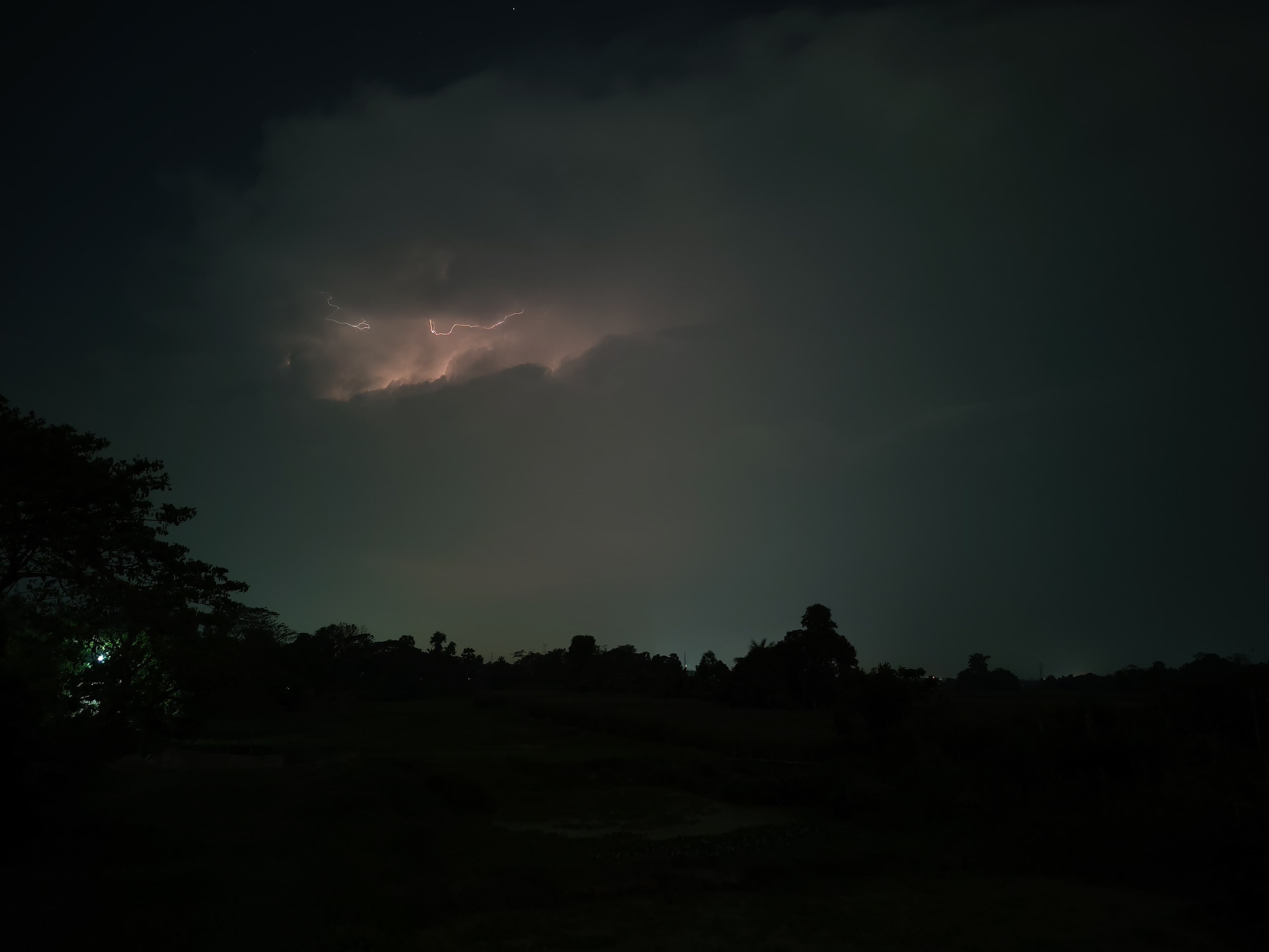 Sea-breeze lightning over Tampa Bay