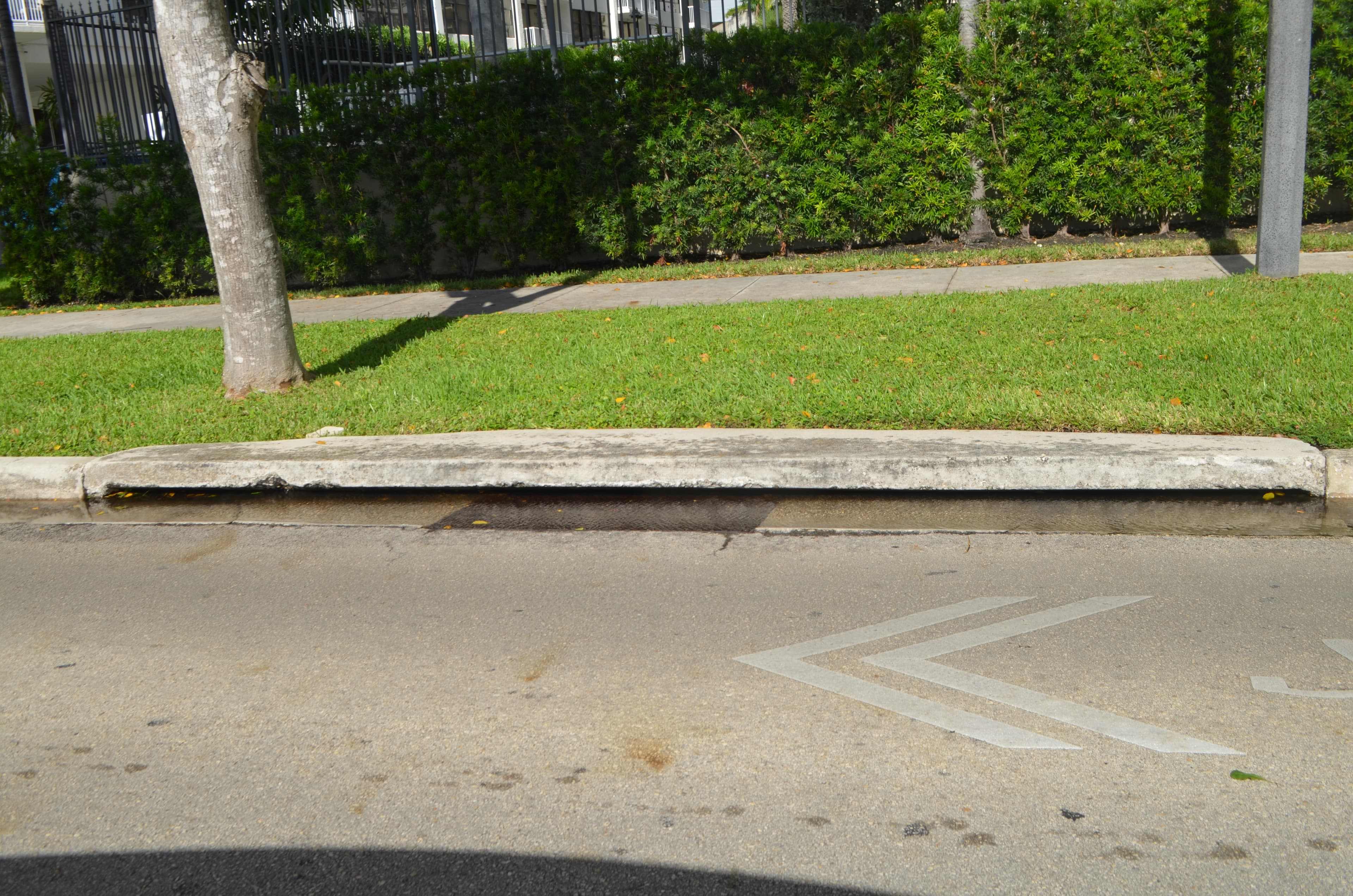 King-tide flooding, Shore Acres & Bayshore